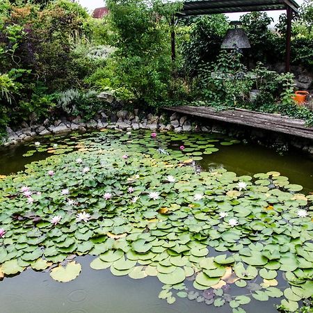 Pigal Panzio Bed and Breakfast Badacsonyörs Εξωτερικό φωτογραφία